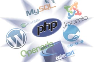 fix php, mysql, wordpress, css, html, javascript errors