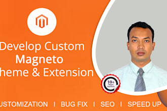 develop, customize magento theme, extension, fix bug