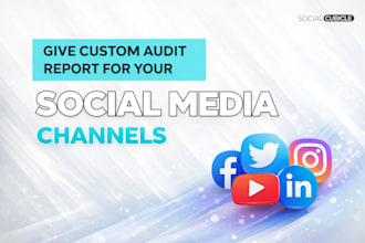 give custom audit report for your social media channels