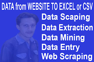 do data scraping, data transfer from web to excel spreadsheet