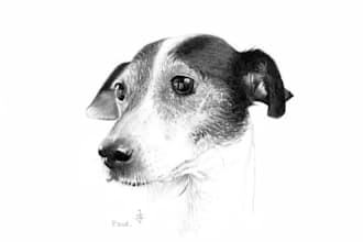 convert realistic portraits, from the photo you will send to me, also many kinds of illustrations and graphics