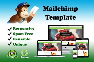 design a responsive newsletter template