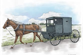 draw pencil illustrations  vintage style