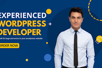 fix bugs and errors in your wordpress blog