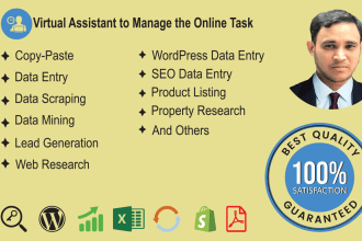 virtual assistant managing SEO, wordpress, online data entry