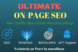 provide affordable and professional on page SEO services