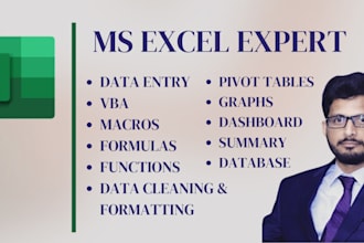 data entry, tables, vlookup, interactive dashboards in excel