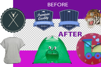 do transparent your logo and images