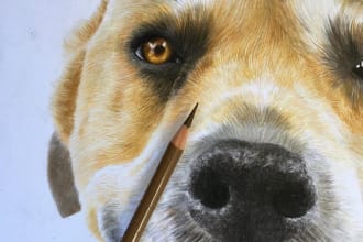 draw a professional pencil pet portrait