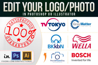 clean up or edit logo, photo professionally and accurately