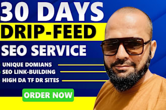 submit 30 days drip feed seo link building service for daily update