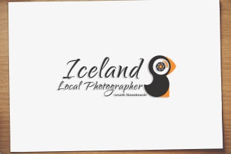design a clean and professional logo or game icon for you