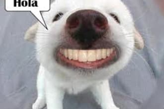 write 10 posts for a forum in Spanish