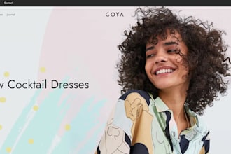 design business or ecommerce wordpress website