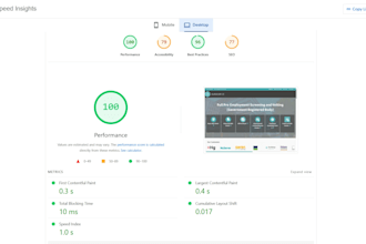 do wordpress speed optimization with 95 score guarantee