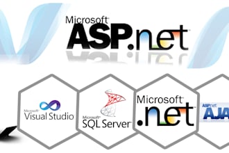 create custom asp net application or fix asp net core api