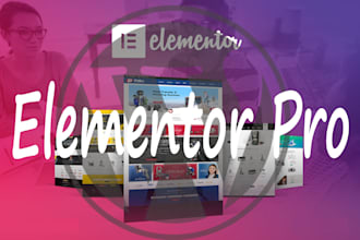 design elementor pro wordpress website