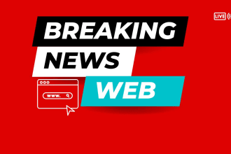 develop wordpress auto news blog for passive income