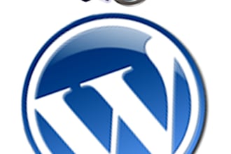 install, customize, troubleshoot, repair ALL WordPress issues