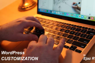 do wordpress bug fixing and customization