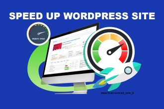 boost speed and optimize your wordpress and shopify websites