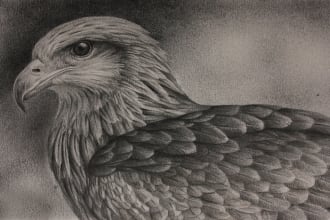 draw professional handmade pencil or pen sketch