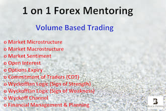 give you 1 on 1 forex mentoring