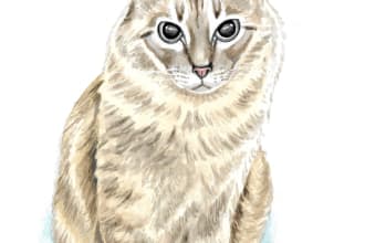 draw a portrait of your pet, digital or watercolor style