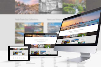 build your wordpress website