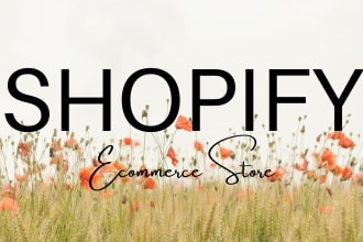 seo shopify product description
