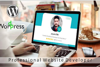 build professional wordpress website