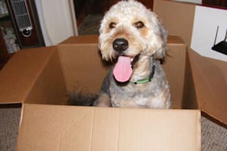 let my dog hold your picture/message/sign
