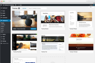 make changes and fix bugs of your wp website