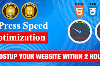 speed up wordpress in 24hrs by google optimization