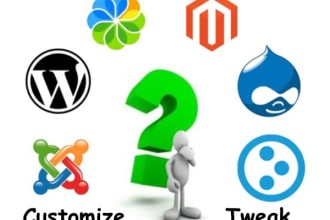 customise, optimize, fix error website wordpress, laravel, php etc