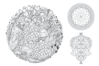 draw a digital hand drawn for coloring book page