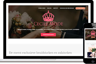 design and develop a stunning wordpress website