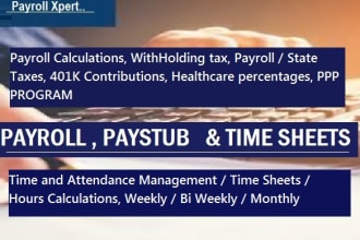 do payroll, paystub, time sheet and payslips