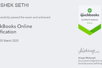 do all the accounting work and prepare financial statements