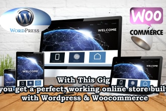 develop for you a selling wordpress online store