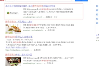 seo for you in china on baidu