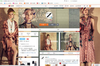 help you with the little red, douyin, wechat, weibo, social marketing in china
