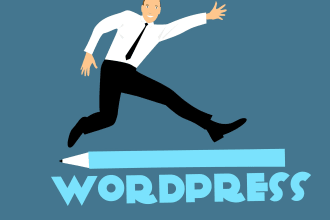 fix wordpress issue on your website