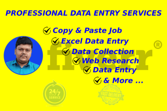 do data entry typing excel word internet research copy paste