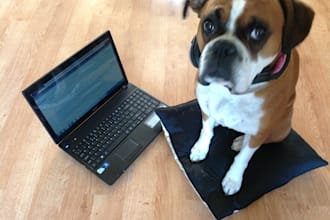 deliver accurate transcription of one hour