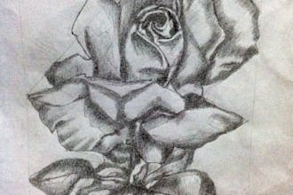 illustrations, designs or cartoons in less time
