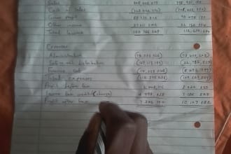 assist in case study analysis, essays, and business research