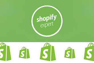 be your shopify developer and expert