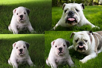 merge multiple images seamlessly