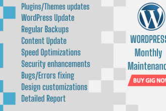 do monthly wordpress website maintenance, support, help